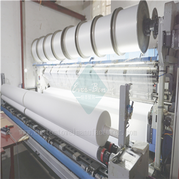 China Bulk microfiber floor cloth production workshop Custom Brand Grey White Hotel Towels Supplier for France Europe